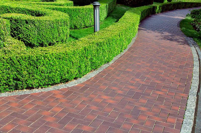 Allée jardin