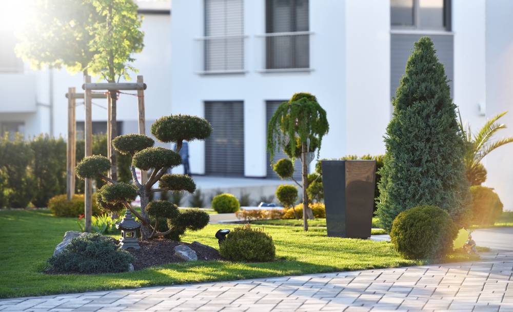 aménagement paysager Neuilly-sur-Marne
